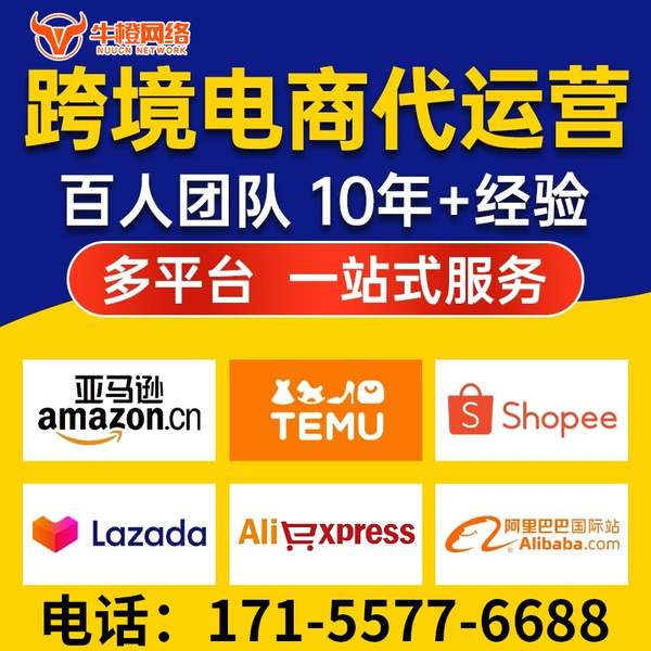 周口电商代运营