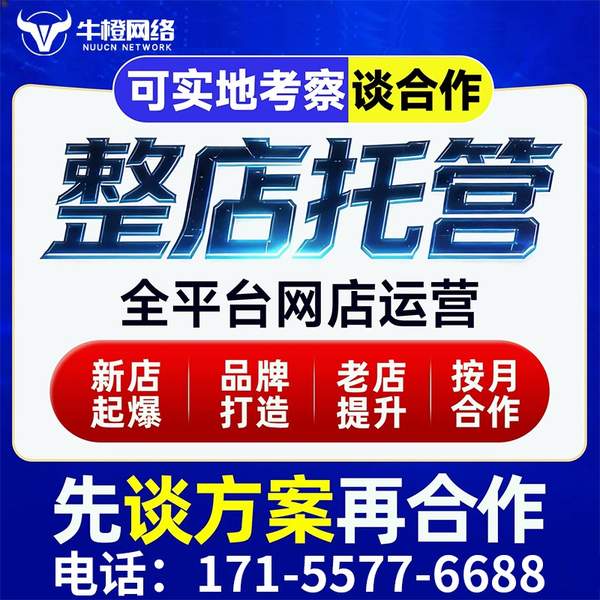 周口电商代运营