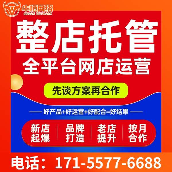 周口电商代运营