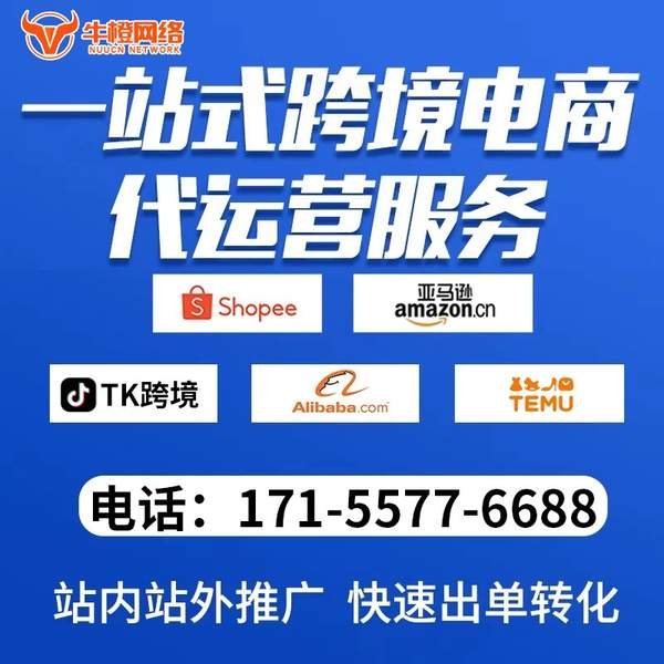 周口电商代运营