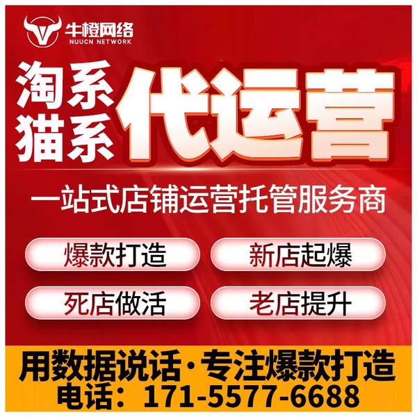 周口电商代运营